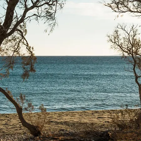 Dafni Tinos Villa *