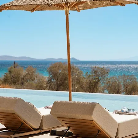 Dafni Tinos Villa